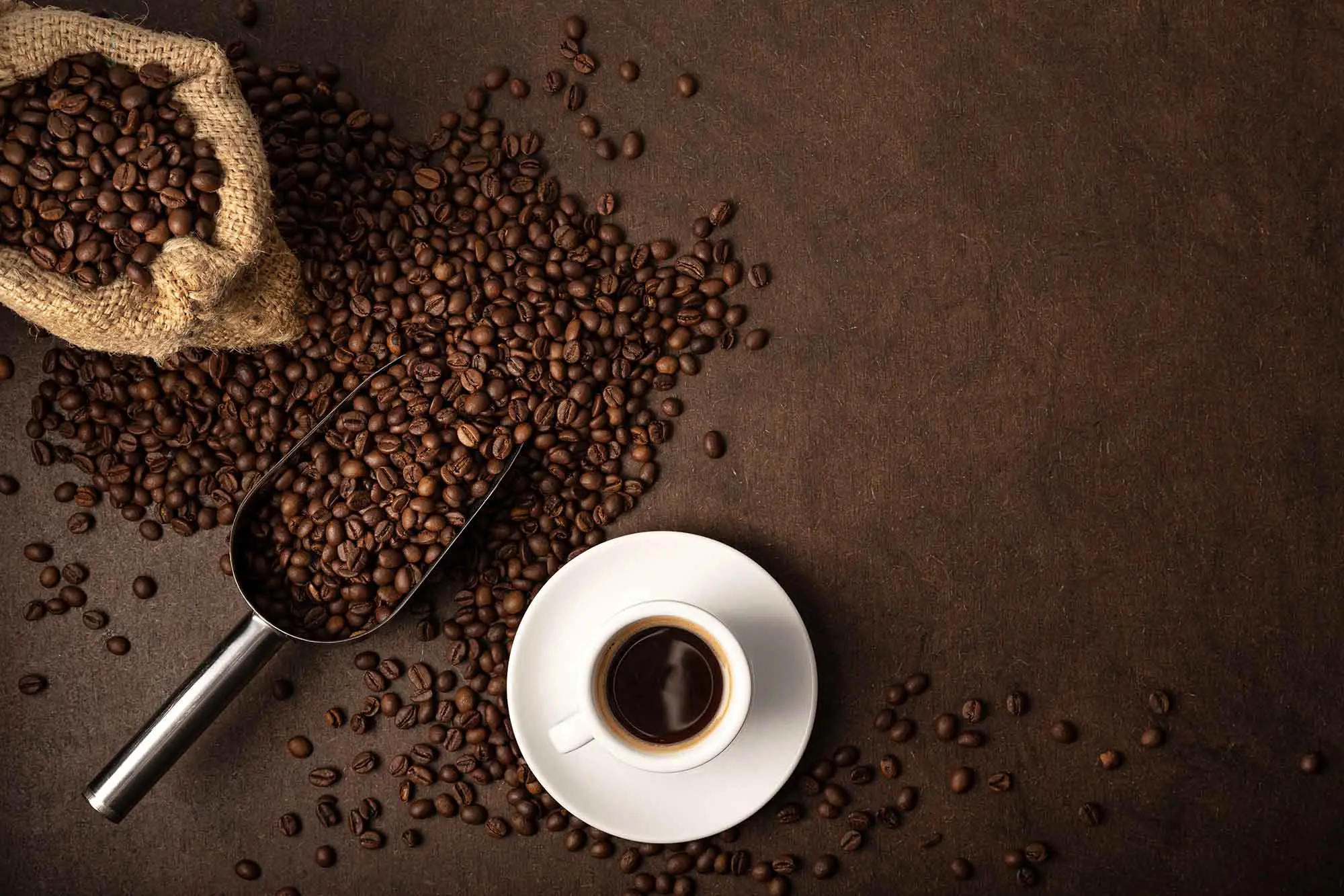 Coffee plantation background