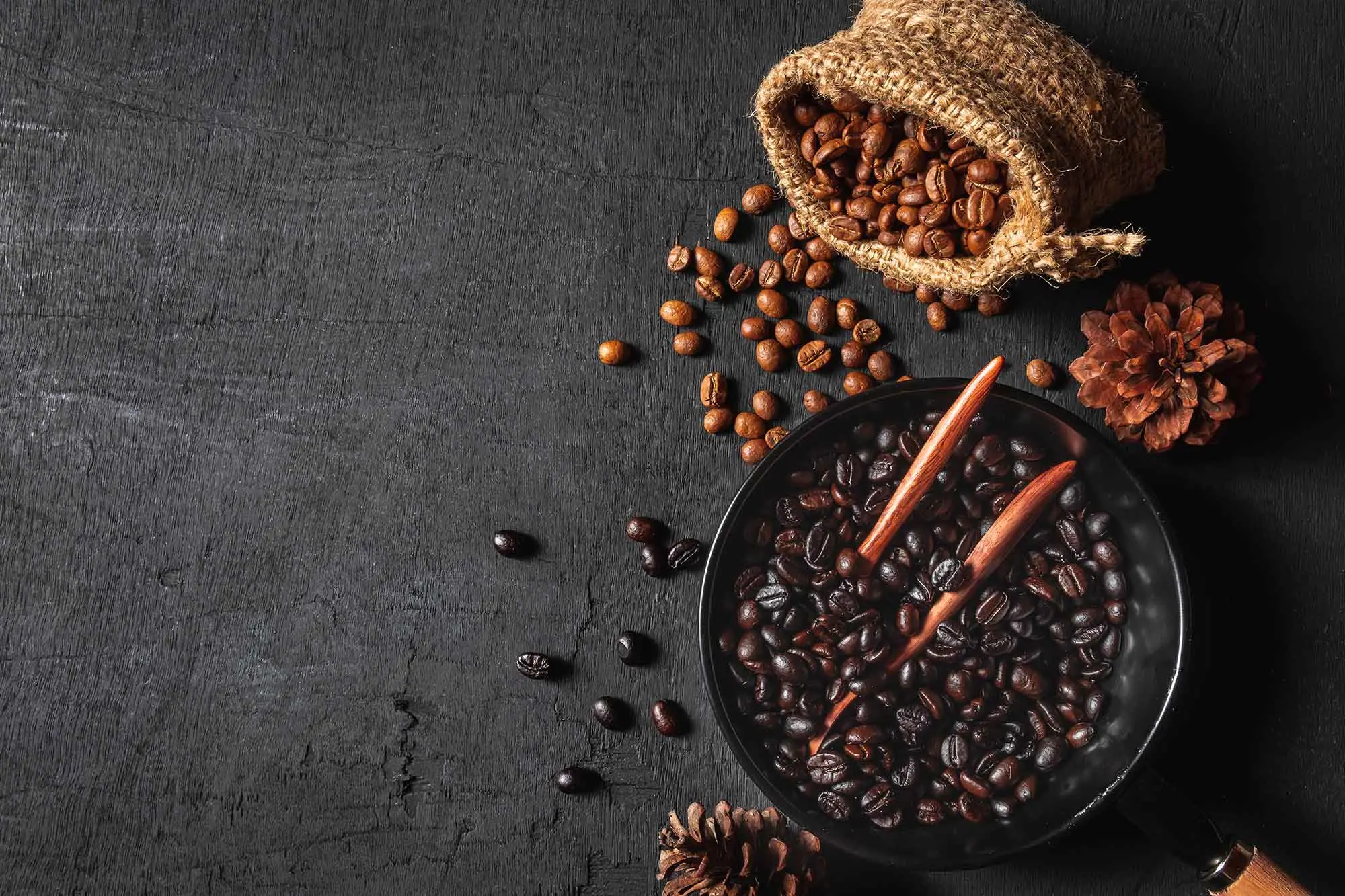 Coffee plantation background